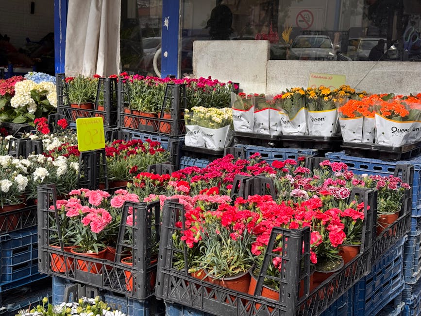 A display of various potted carnations with vibrant pink, red, white, yellow, and orange blooms arranged in black plastic crates outside a flower shop. The flowers have fresh, textured petals and gree